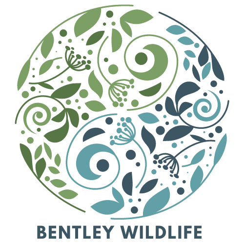Bentley Wildlife
